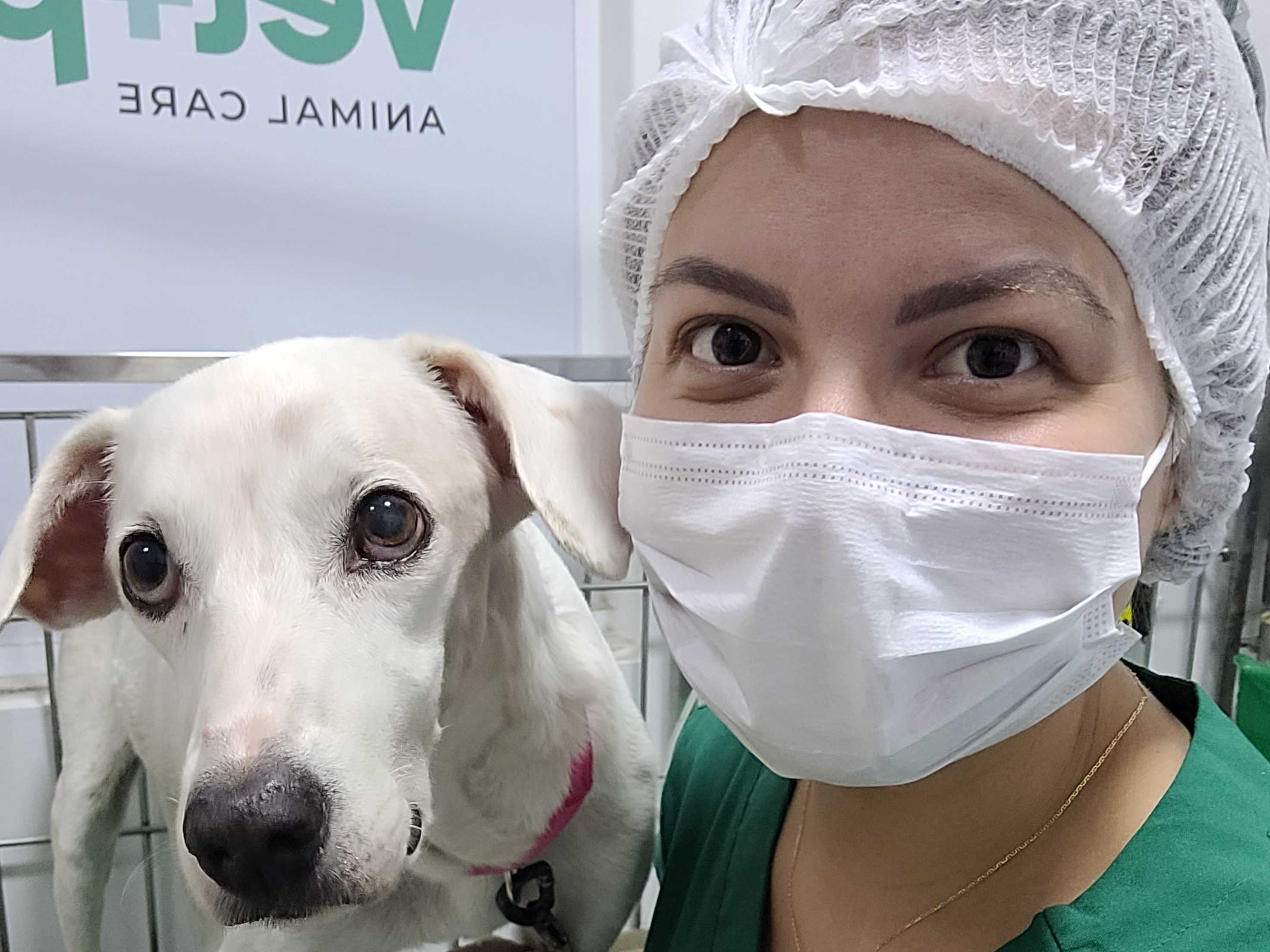 Castração Landing Hero Image 3