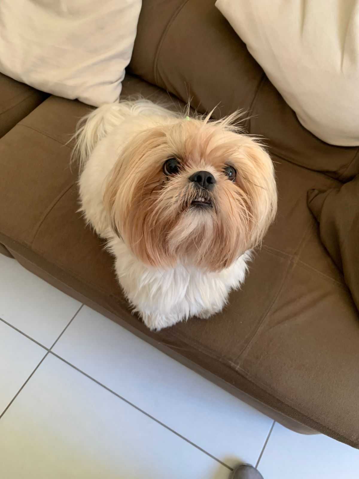 Profilaxia Dentária Landing Hero Image 1