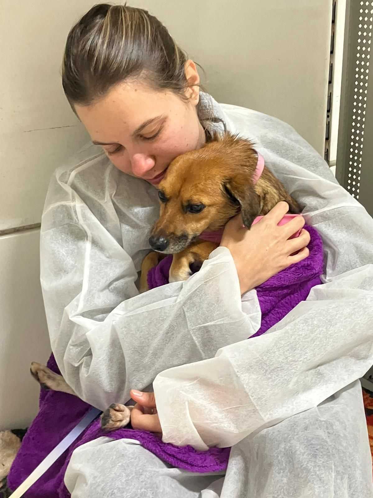 Nefrologia Veterinária Landing Image