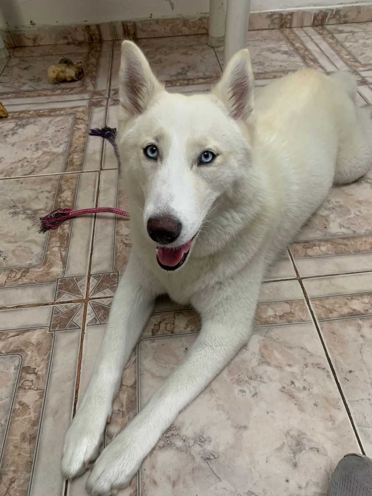 Profilaxia Dentária Landing Image