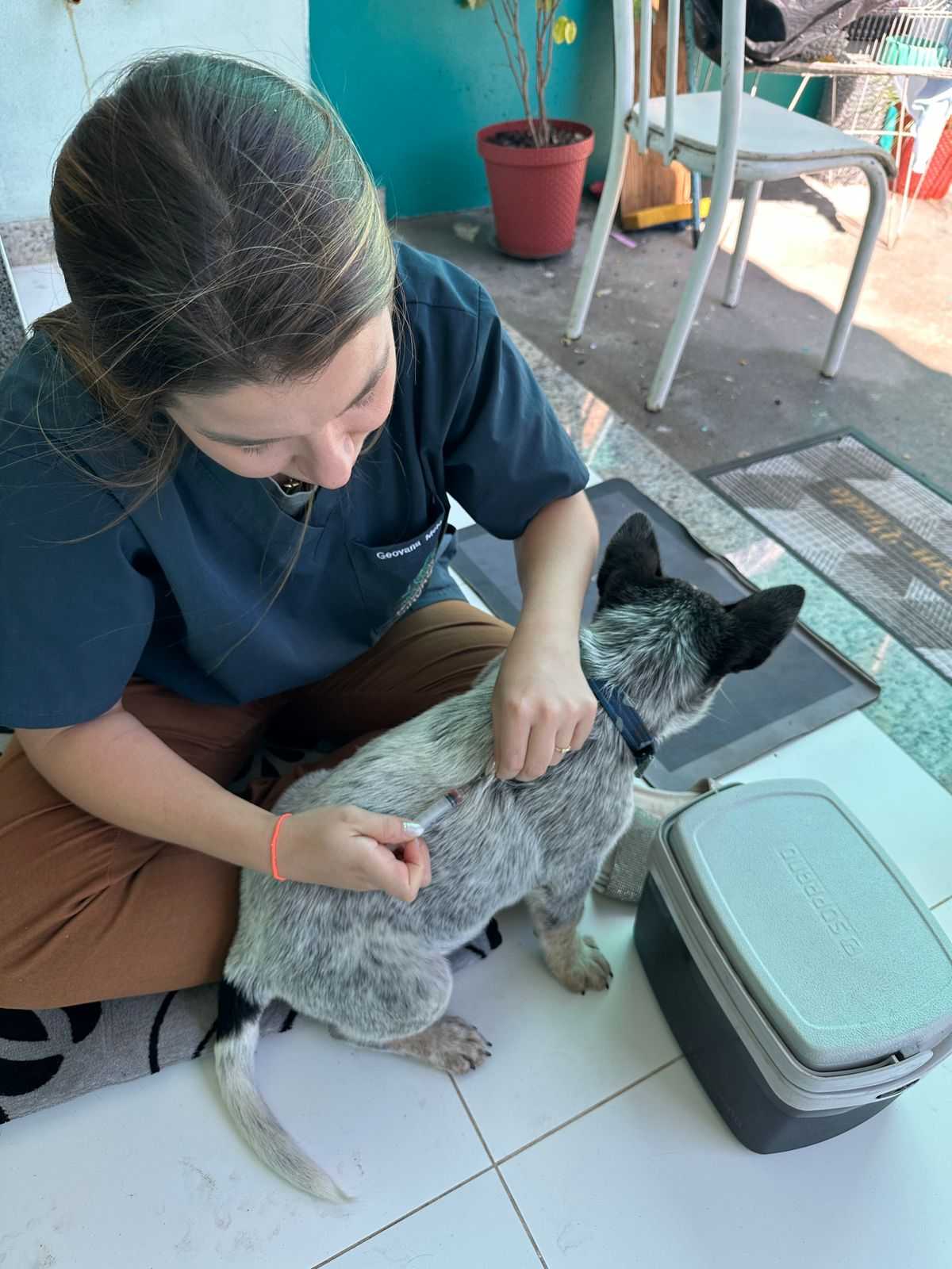 Vacinas Landing Image