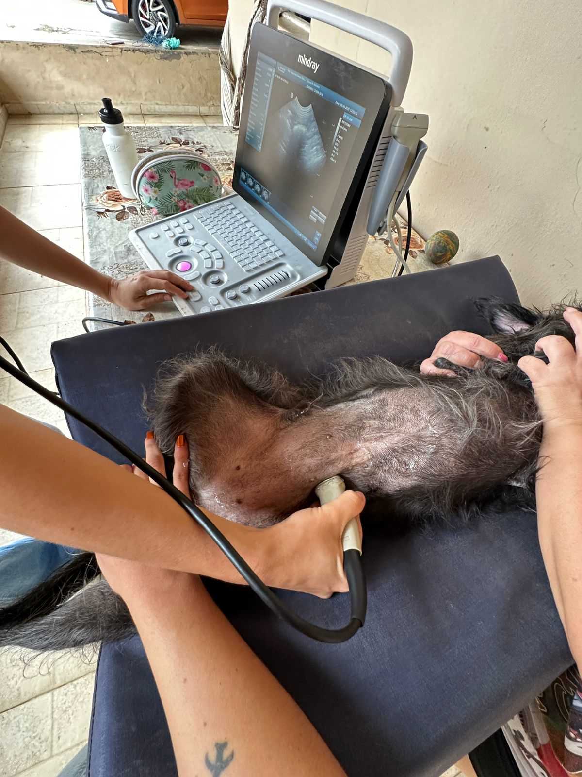 Ultrassom Landing Image