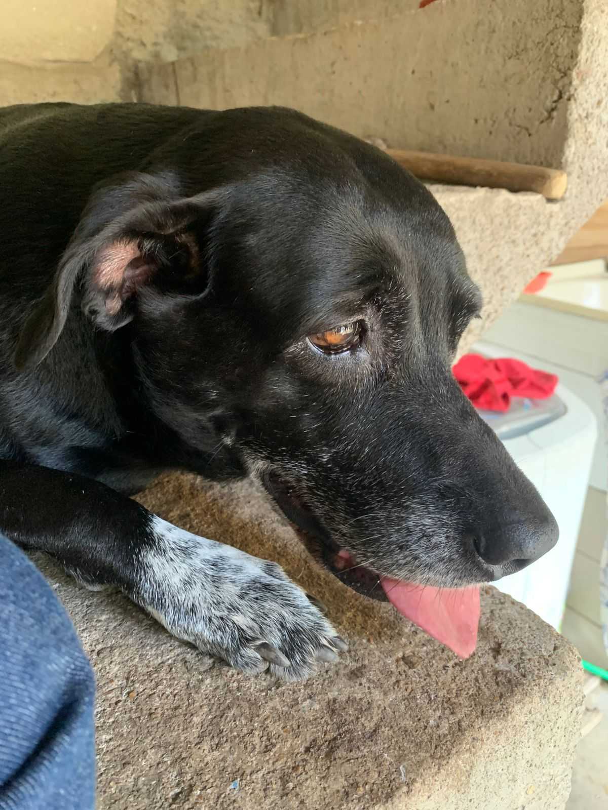 Profilaxia Dentária Landing Hero Image 3