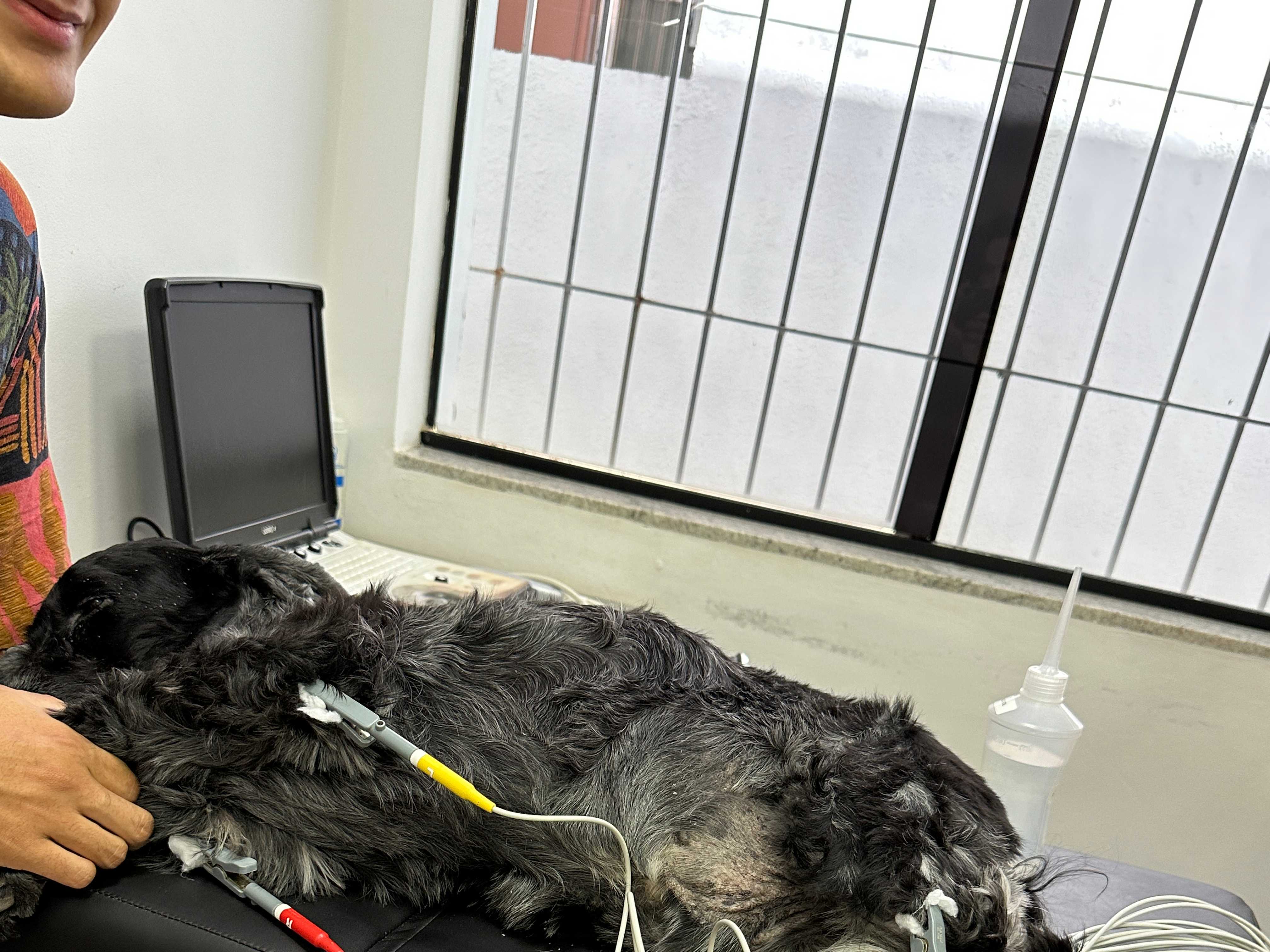 Cardiologia Landing Hero Image 1