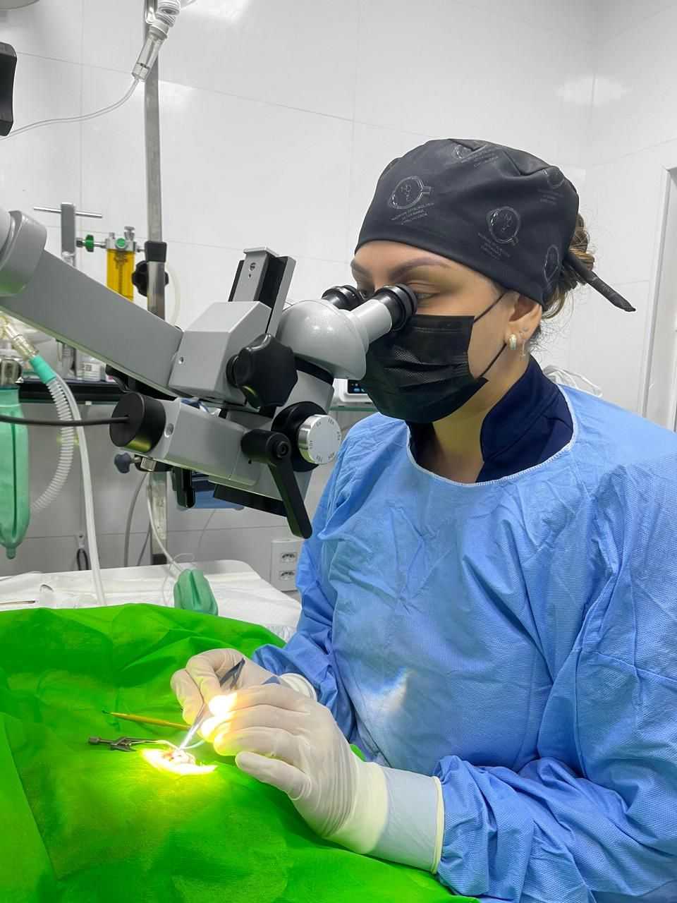 Oftalmologia Veterinária Landing Image