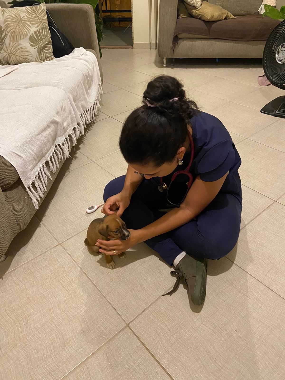 Atendimento Domiciliar Landing Hero Image 2