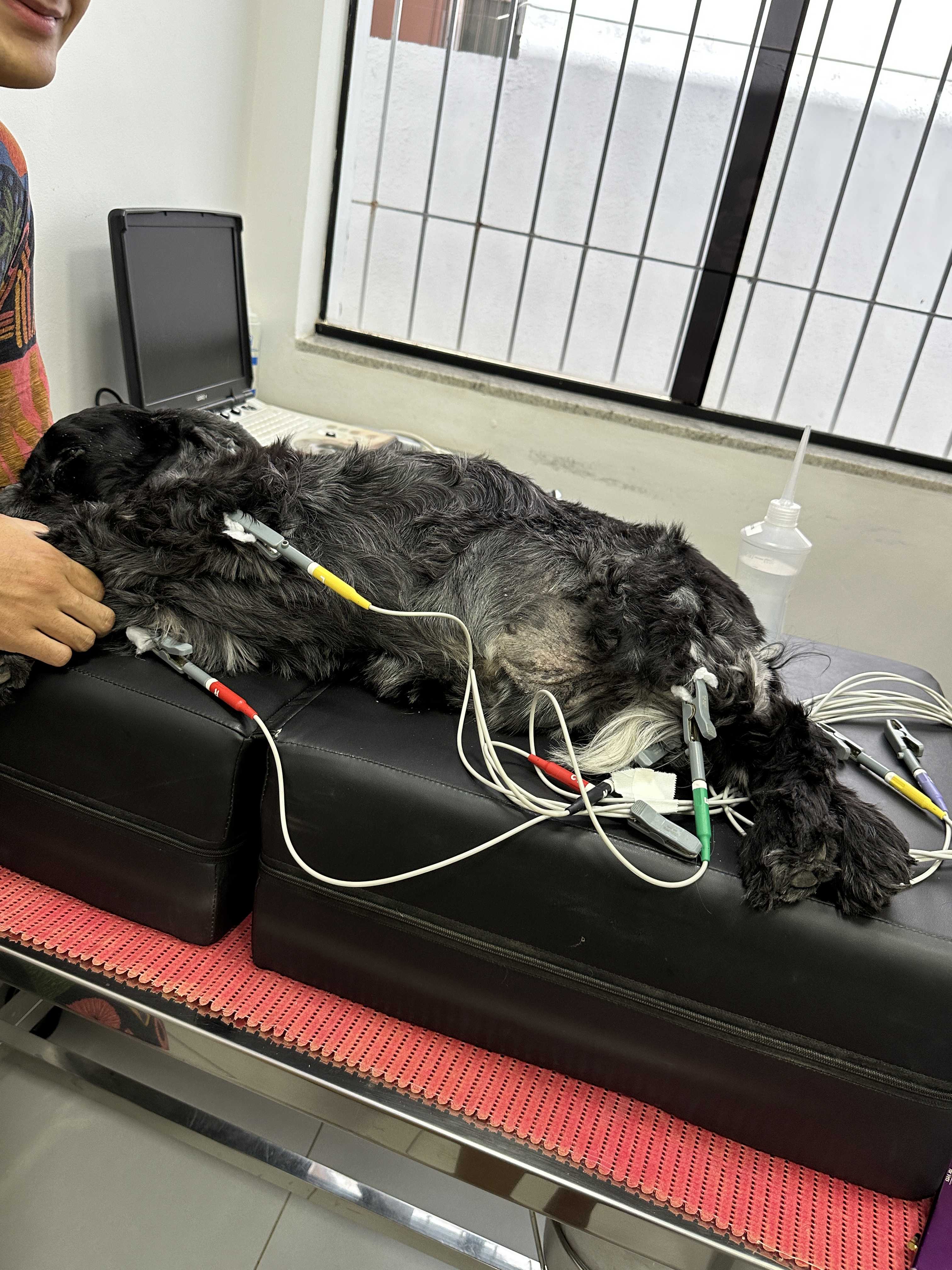 Eletrocardiograma Landing Image