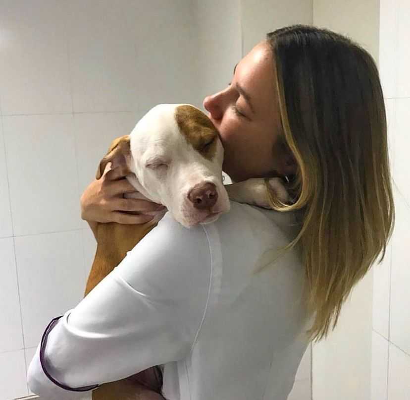 Nefrologia Veterinária Landing Hero Image 3