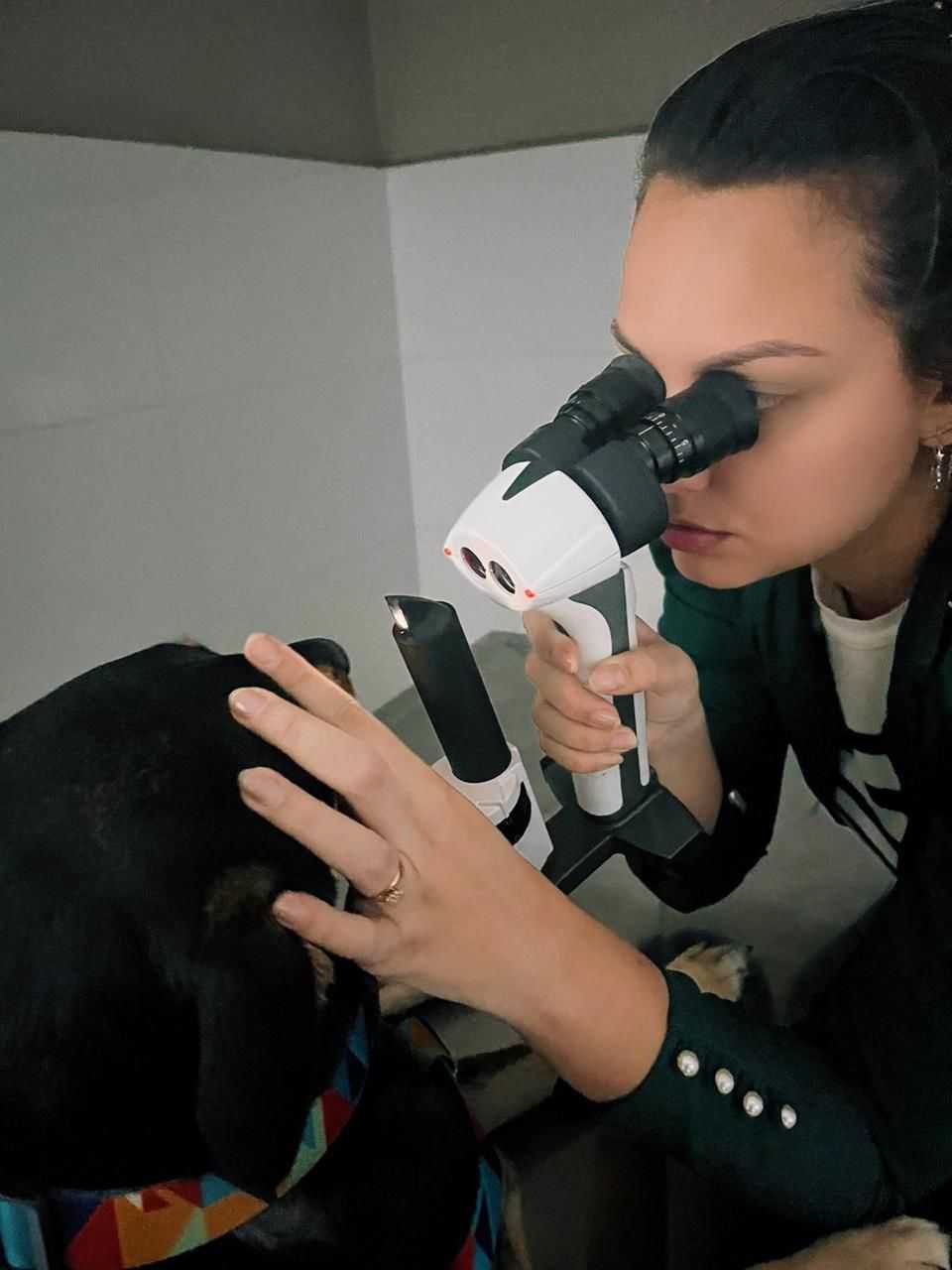 Oftalmologia Veterinária Landing Hero Image 2